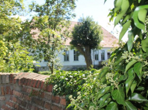 Ferienwohnung fuer VIER in Steffenshagen mit Garten